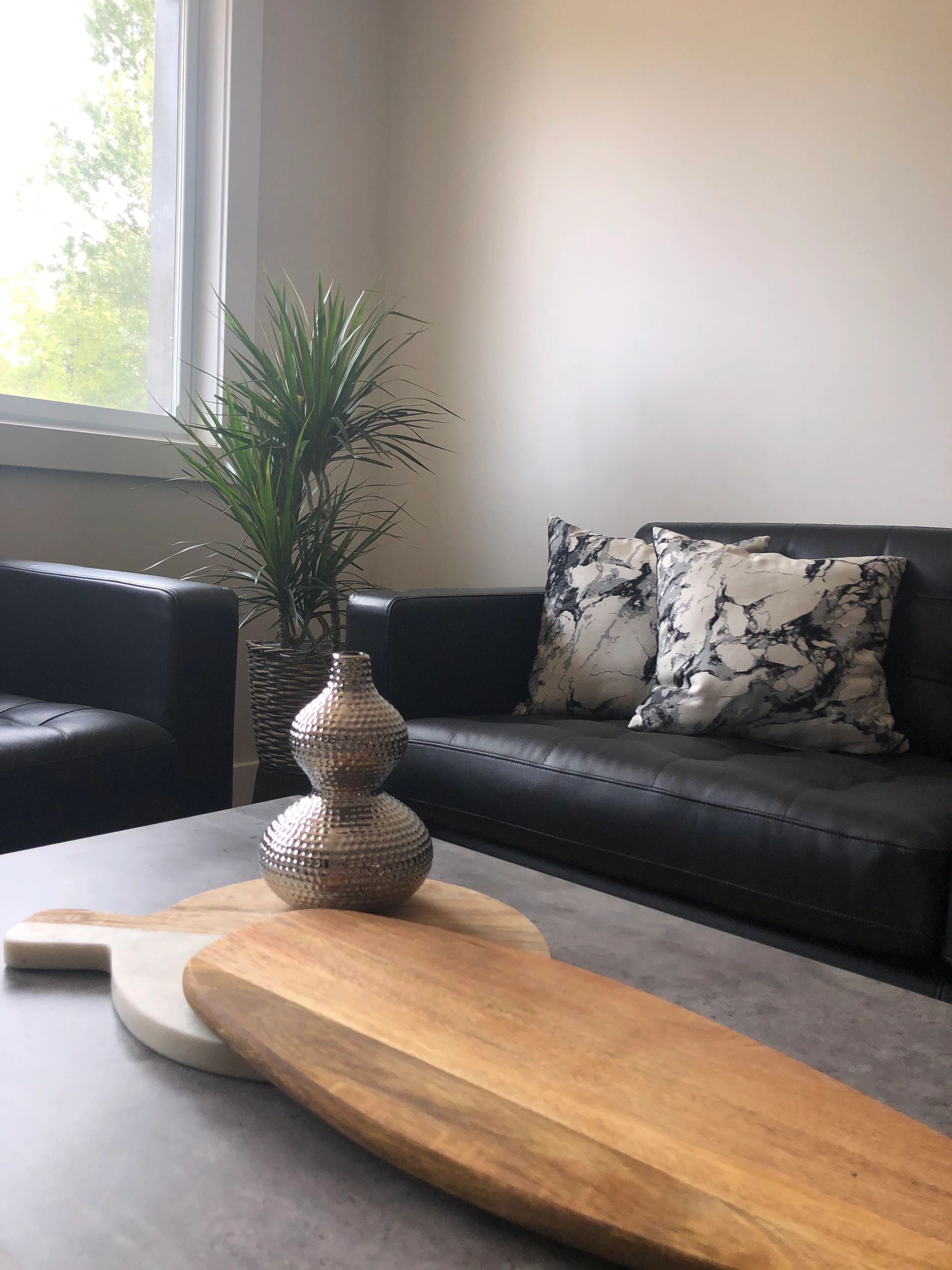 Canoe Lofts Student Residence, Student Housing, Apartments for Rent